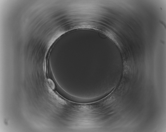 X0000101981084200807251228