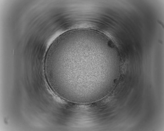 X0000101981086200807251228