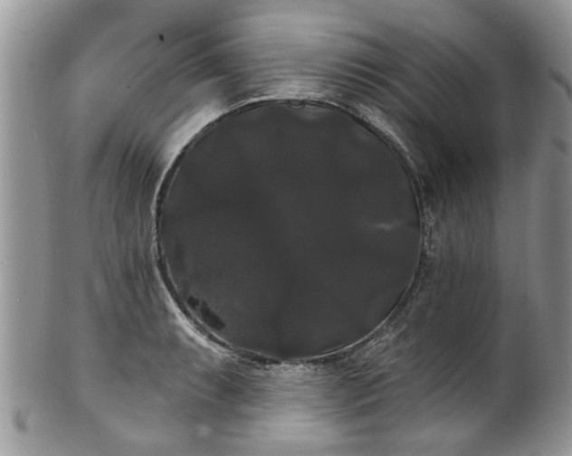 X0000101981087200807251228