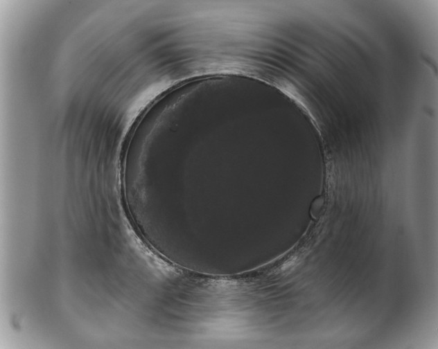 X0000101981088200807251228