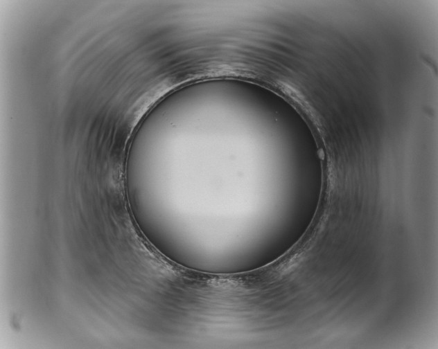 X0000101981089200807251228