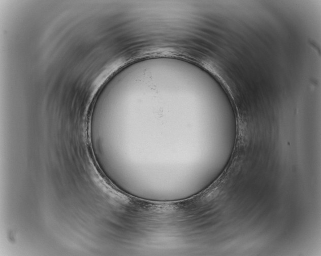 X0000101981090200807251228