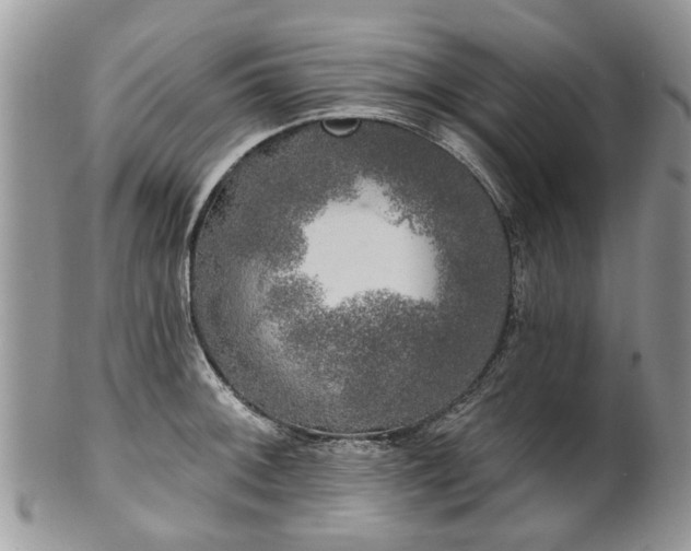 X0000101981092200807251228