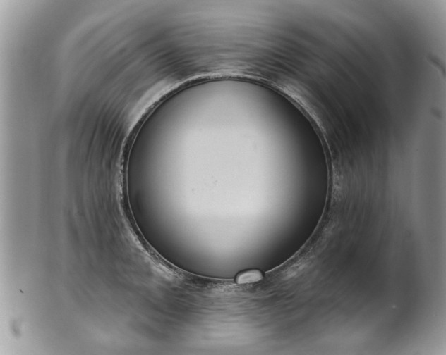 X0000101981093200807251228