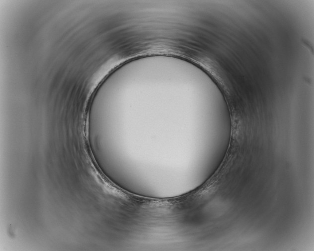 X0000101981094200807251228