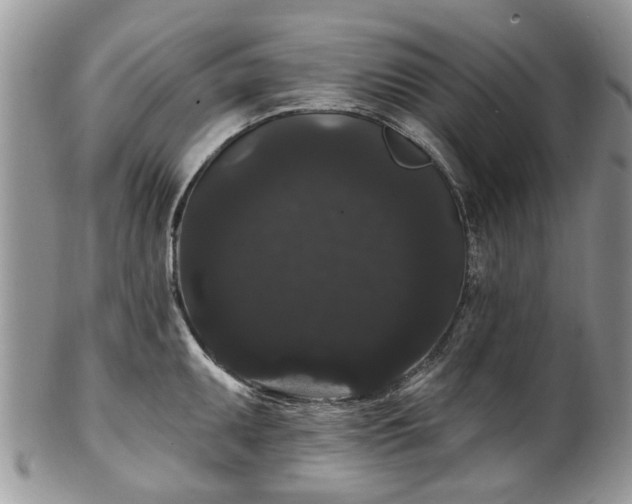 X0000101981095200807251228