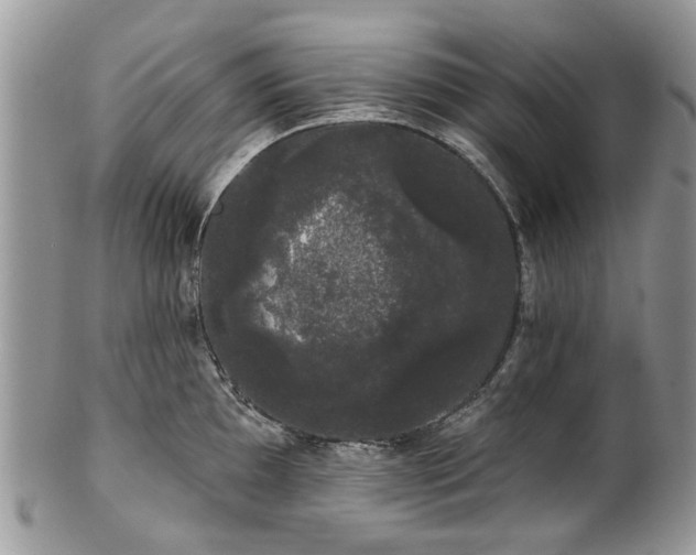 X0000101981097200807251228