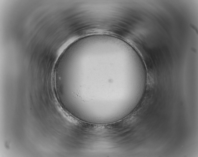 X0000101981098200807251228