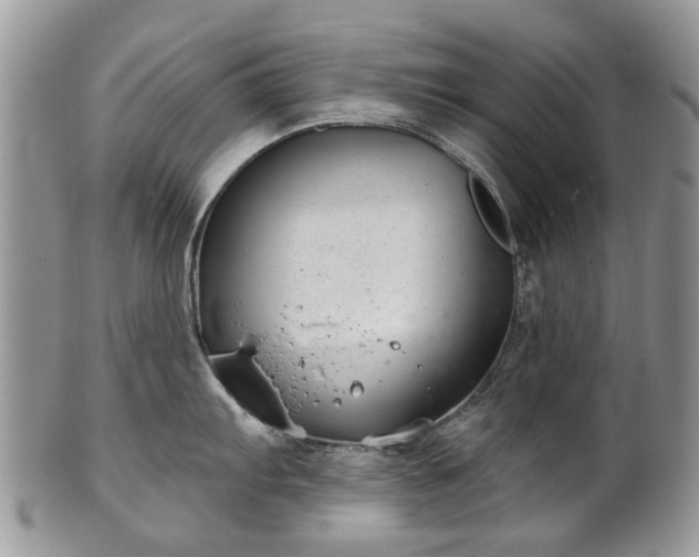 X0000101981103200807251228