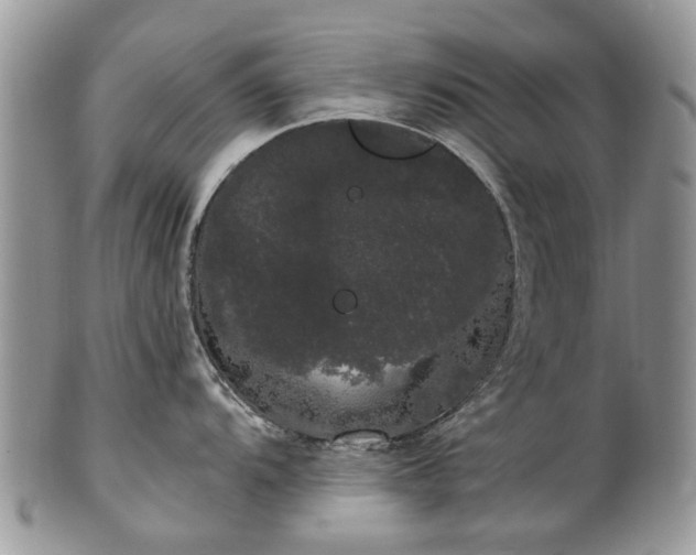 X0000101981104200807251228