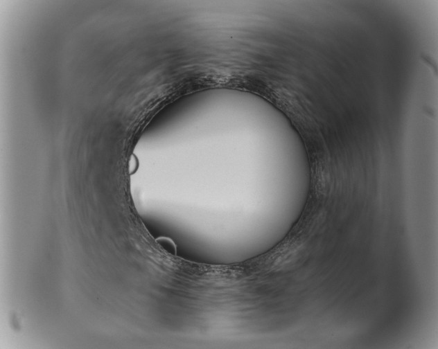 X0000101981105200807251227