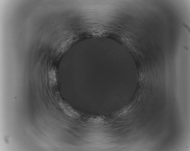 X0000101981106200807251227