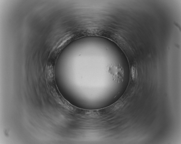 X0000101981107200807251227