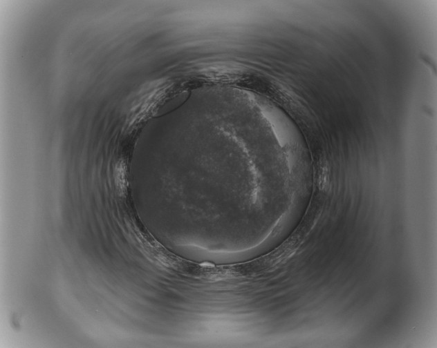 X0000101981108200807251227