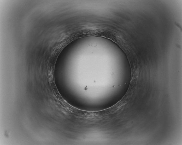 X0000101981109200807251227