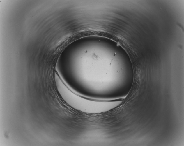 X0000101981110200807251227