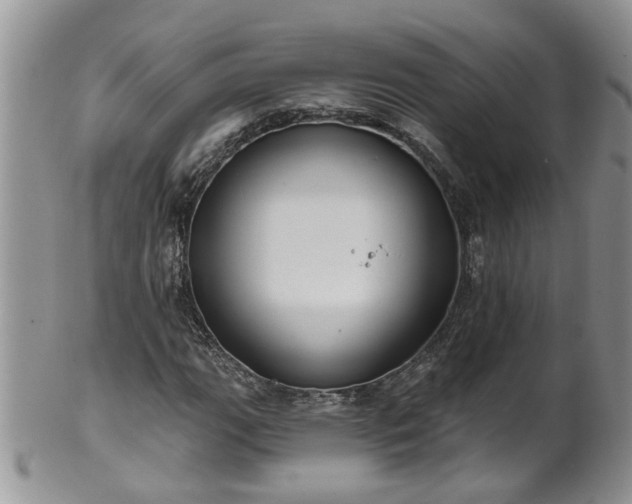 X0000101981111200807251227