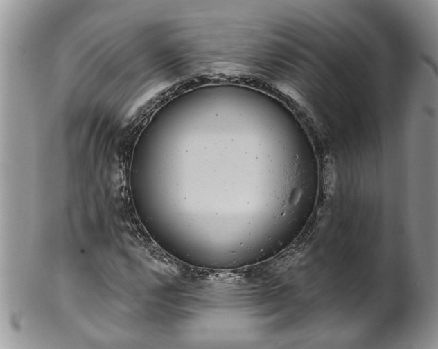 X0000101981112200807251227