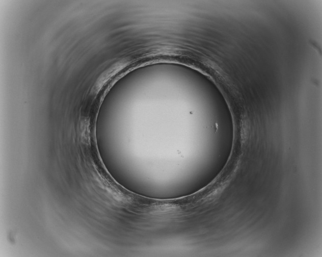 X0000101981113200807251227