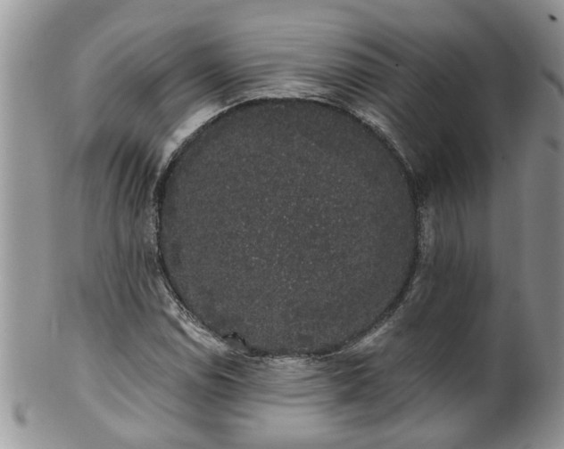 X0000101981114200807251227