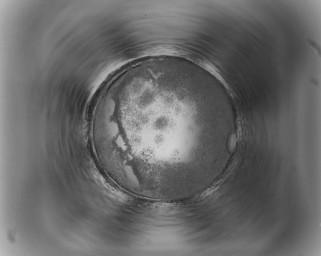 X0000101981116200807251227