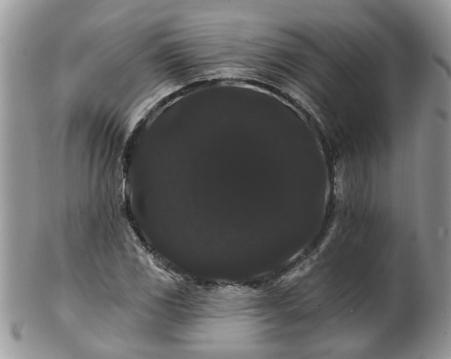 X0000101981117200807251227