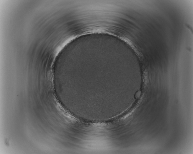 X0000101981118200807251227