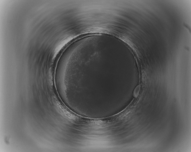 X0000101981120200807251227