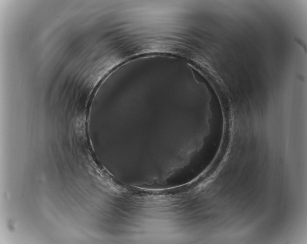 X0000101981121200807251227