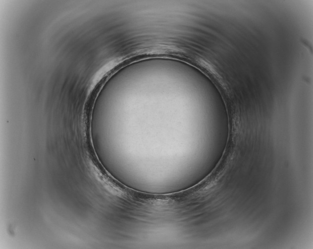 X0000101981122200807251227