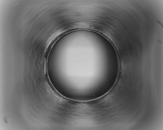 X0000101981123200807251227