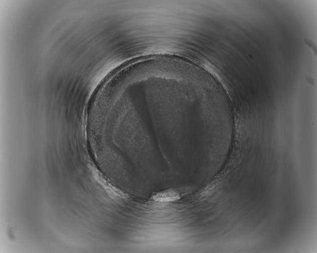 X0000101981124200807251227