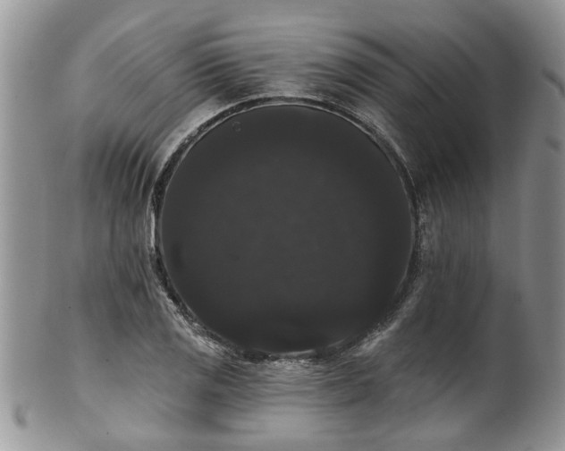 X0000101981125200807251227