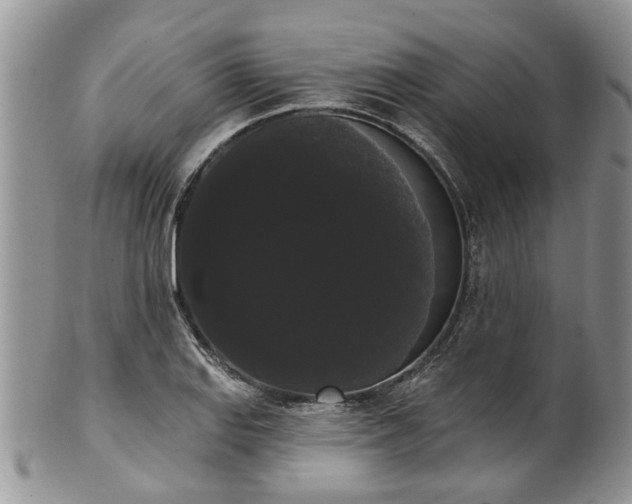 X0000101981127200807251227