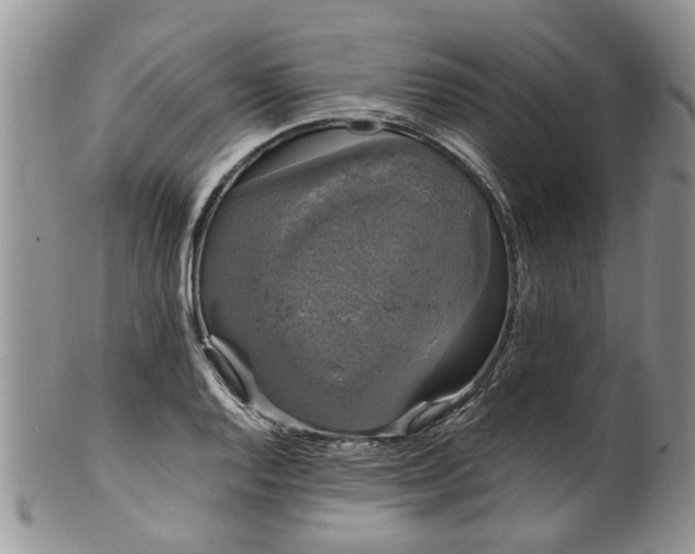 X0000101981128200807251227