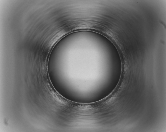 X0000101981129200807251227