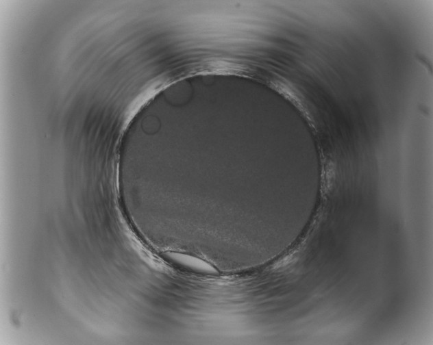 X0000101981130200807251227