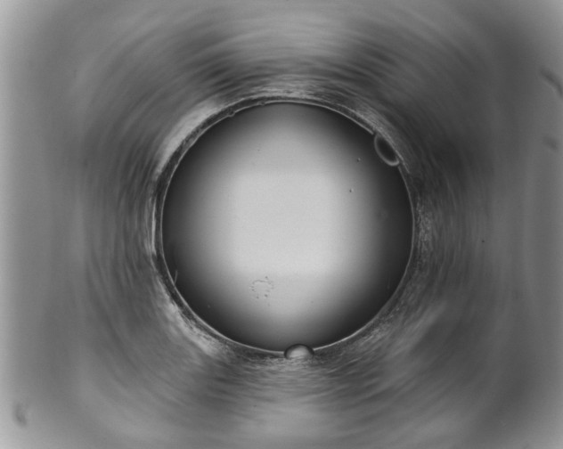 X0000101981131200807251227