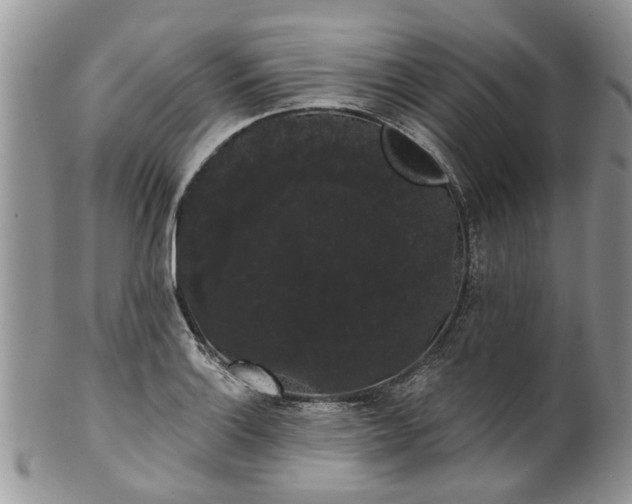 X0000101981132200807251227