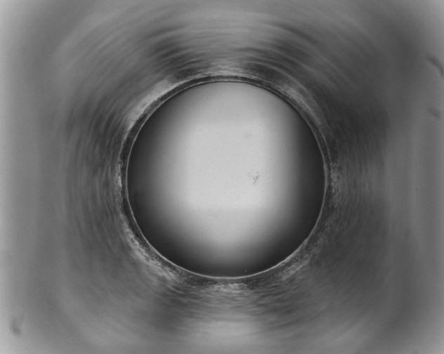 X0000101981133200807251228