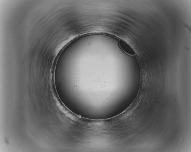 X0000101981134200807251228