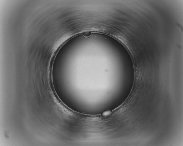 X0000101981135200807251228