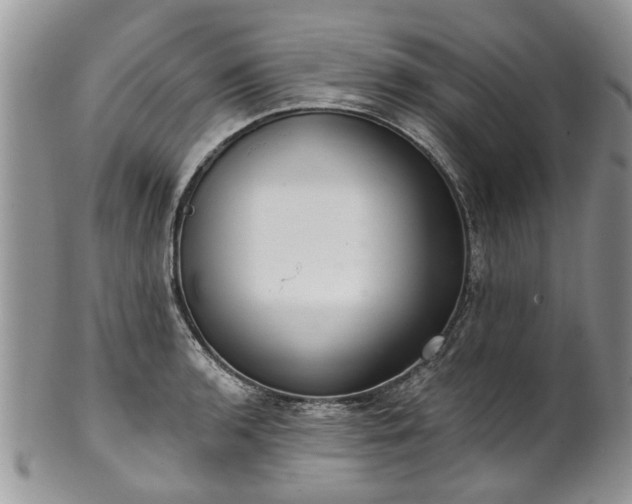 X0000101981136200807251228