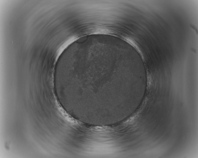 X0000101981138200807251228