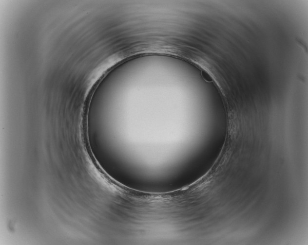 X0000101981139200807251228