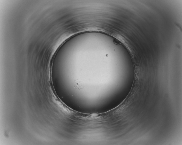 X0000101981140200807251228