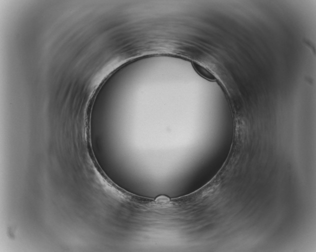 X0000101981143200807251228