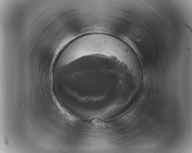 X0000101981144200807251228