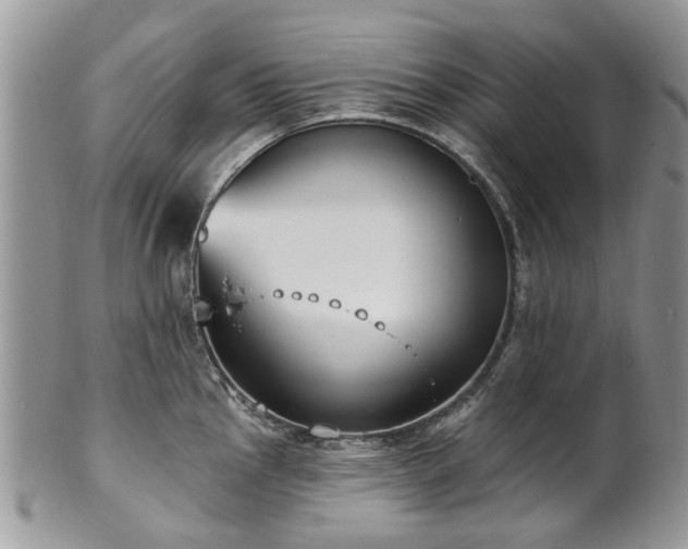 X0000101981145200807251228