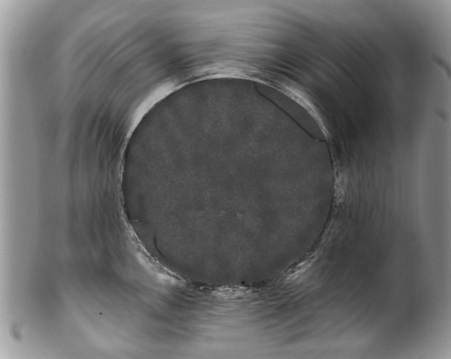 X0000101981146200807251228